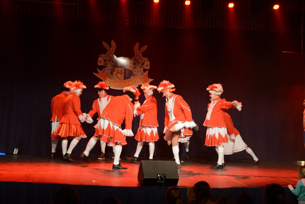 ../Images/Dansmarieke festival 2015 268.jpg
